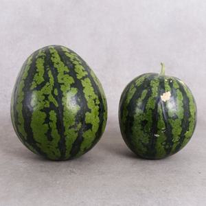 [산지직송] 부여 정용규님의 못난이 수박 [6kg]