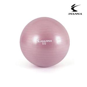 안티버스트 안티 버스트 짐볼 55cm 와일드 핑크