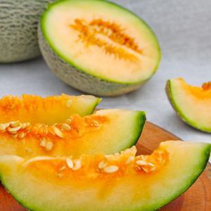 국내산 수박메론(하미과메론) 5kg(5-10수)