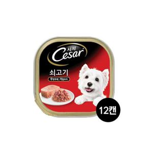 시저 11세이상 쇠고기 100g 12캔
