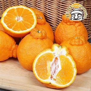 현가원 서귀포 못난이 한라봉 5kg (실속형 혼합과)