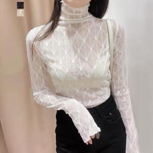 [페이릿] 네디 시스루 하이넥 블라우스