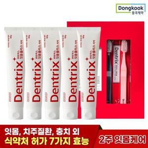 [동국제약] 잇몸케어 구취제거 덴트릭스 잇몸플러스 160g 5개+잇몸칫솔 5입