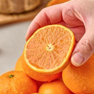 산지직송 제주 카라향 가정용 소과 4.5kg(35-55과)