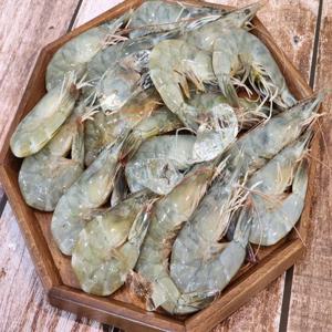 흰다리새우1kg(25-35미)  생새우 활새우 노지새우 국내산