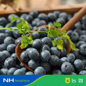 [농협] 특등급 제주 生 블루베리 100g x 6팩