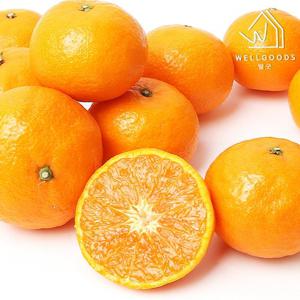 [웰굿] 산지직송 제주 카라향 2.5kg(25-34과,소과,15brix이상)