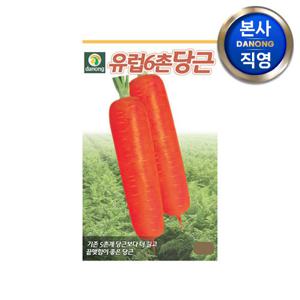 유럽6촌 당근 씨앗 4g . 야채 채소 텃밭 파종 재배 주말 농장 씨 종자.