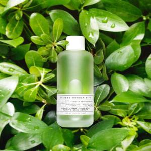 [조성아뷰티]조성아 원더바스 어성초 청결 세럼 140ml