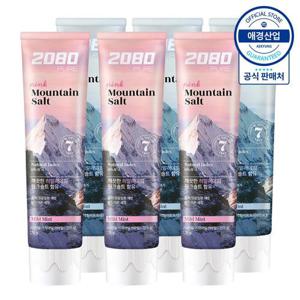 [2080]2080 히말라야 퓨어 솔트 치약 150g x6개