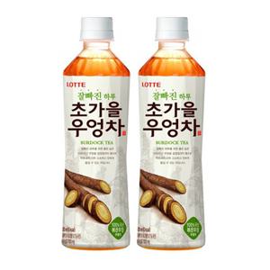 롯데칠성 잘빠진 초가을 우엉차 500mL 40병