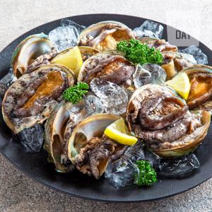 [프레시데이] 완도 노화도 활전복 VIP 왕특대 산소포장 1kg (7미)
