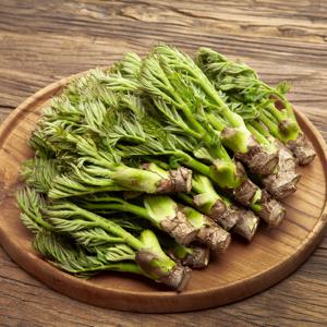 국내산 참두릅 제철 봄나물 500g