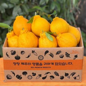 새콤달콤 제주 돌담 한라봉 가정용 4.5kg 대과(09-17과 내외)