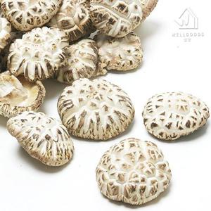 [웰굿] 진안직송 명품 참나무 표고버섯 백화고 200g(특품,소)