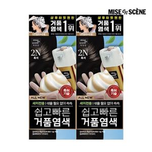 미쟝센 올뉴 쉽고빠른 거품염색 80G 2입