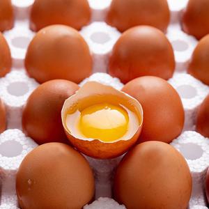 [무항생제/HACCP]난각번호 1번 자연방사 유정란 40구