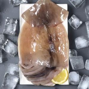 딜크릿)손질 오징어 900g 5-7미 (2개 구매 시 초장, 3개 구매시 쥐포 추가 증정)