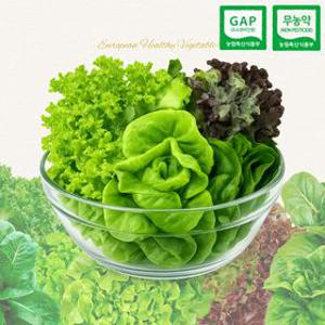 [GAP인증] 당일수확 무농약 샐러드 쌈채소 3~5종 믹스 800g/1kg 스마트팜 재배 샐러드 쌈채소