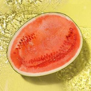 [리뷰이벤트 1,000P 적립] 국내산 고당도 하우스 정품 꿀수박 5kg