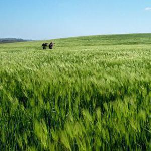 [여행가는달] KTX 고창 부안 청보리밭 기차여행 / 당일