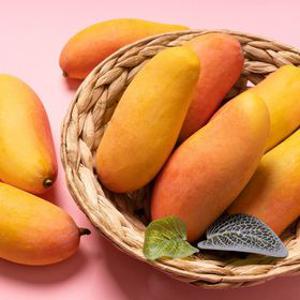 최대혜택가 23,980원/(한정수량) 마하차녹 무지개망고 4kg 8-12과 특대과사이즈