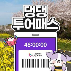 [제주] 댕댕투어패스 / 반려견 동반 여행 강아지 관광지 카페 핫플 체험