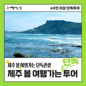 [여행가는달] 제주 봄 여행가는 단독투어 (2박3일) 1인기준