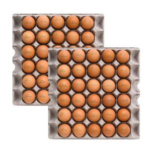 꾼란 촉촉 쫄깃 구운계란 60구 2판 구운란