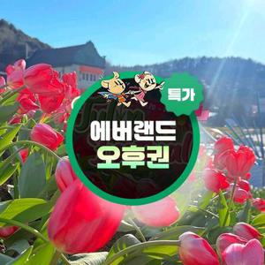 [슈퍼트립] 용인 에버랜드 오후이용권 특가 프로모션, 이용기간 최대 5월 31일까지, 주중&주말 공통혜택