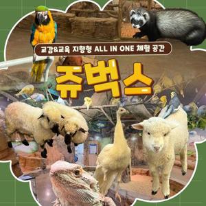 [인천] 실내 동물원 쥬벅스