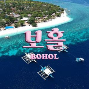 [슈퍼트립] 보홀 가성비 3성급 돌핀베이 리조트 vs 인기 리조트 5성급 헤난 알로나비치 리조트 선택