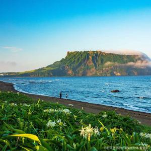 [2박3일] 제주 완전정복 버스 패키지여행 5월 연휴 출발