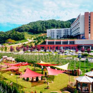 소노벨 청송 조식 2인+특전