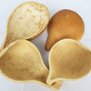 박바가지/ 바가지 조롱박 호리병 표주박 민속 생활용품 결혼식 함 박깨기 천연 공예 재료 액땜 우물 사극 고전