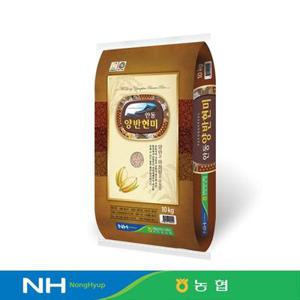 [서안동농협] 양반쌀 현미10kg (25년쌀/당일도정)