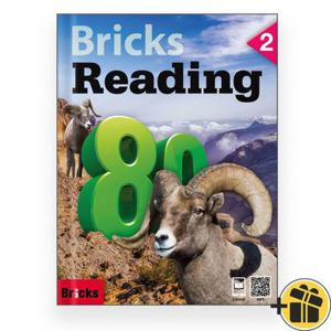 Bricks Reading 80-2