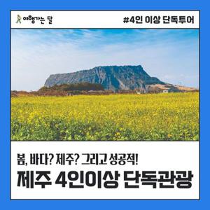 [여행가는달] 최종가 208,720원~ 제주 4인이상 단독관광 (2박3일) 1인기준