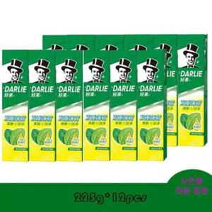 홍콩 달리치약 대용량 액션 더블민트 225g 12개입