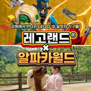 [강원] 레고랜드X알파카월드 PKG