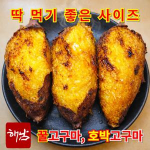 해남 꿀고구마 베니하루카 특상딱 먹기 좋은 중사이즈 3kg 5kg 10kg 무료배송