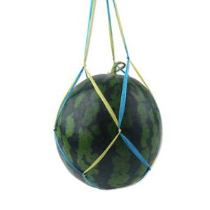 수박끈 소 [2,500개] 10kg 이하