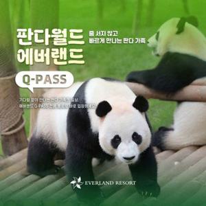 [용인] 에버랜드 Q-PASS: 판다월드
