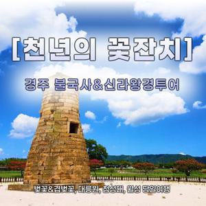 [당일여행] 천년의 꽃잔치 경주 불국사 벚꽃 & 겹벚꽃, 신라왕경투어(대릉원, 첨성대, 월성)