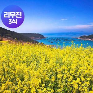 [여행가는달] 청산도+명량해상케이블카+대흥사+운림산방+완도항+완도수목원_청산도진도해남 1박2일