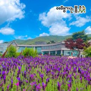 [여행가는달] [1박2일/버스] 지리산 품은 남원&발효희 맛 순창 전북여행