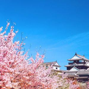 [트립ON] 제주출발 - 마쓰야마 3일 항공 vs 에어텔(조식포함)