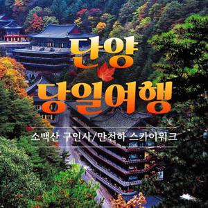 [당일여행] 단양 소백산 구인사, 만천하스카이워크, 단양강 잔도, 도담삼봉
