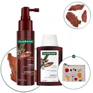 [두피 안티에이징] 퀴닌 두피 세럼 100ml + 샴푸 100ml + 파우치 증정