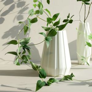 깨지지않는 돌상 백일상 플라스틱 꽃병 - 볼드스트라이프